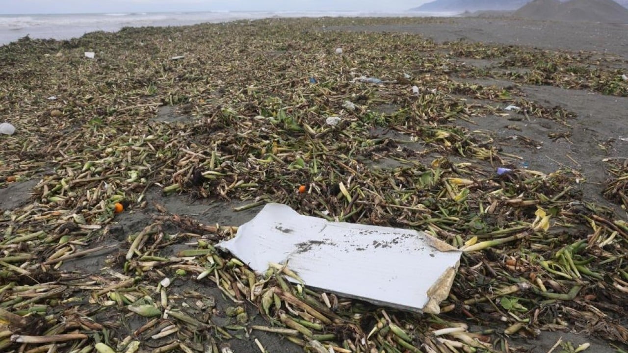 Foto - Önce nehri sonra da denizi yeşile bürüdü!