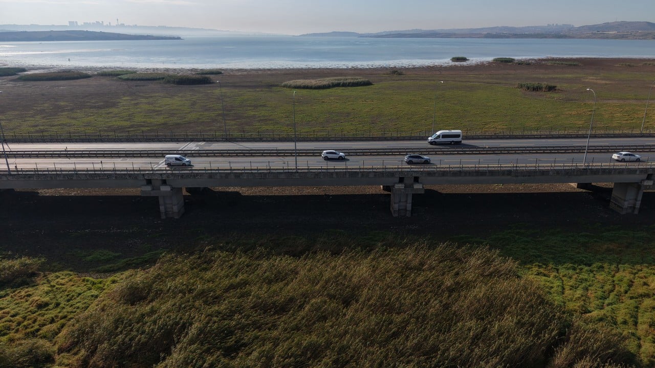 Foto - Önceden balıkların yüzdüğü İstanbul barajlarında artık büyükbaşlar otlanıyor!