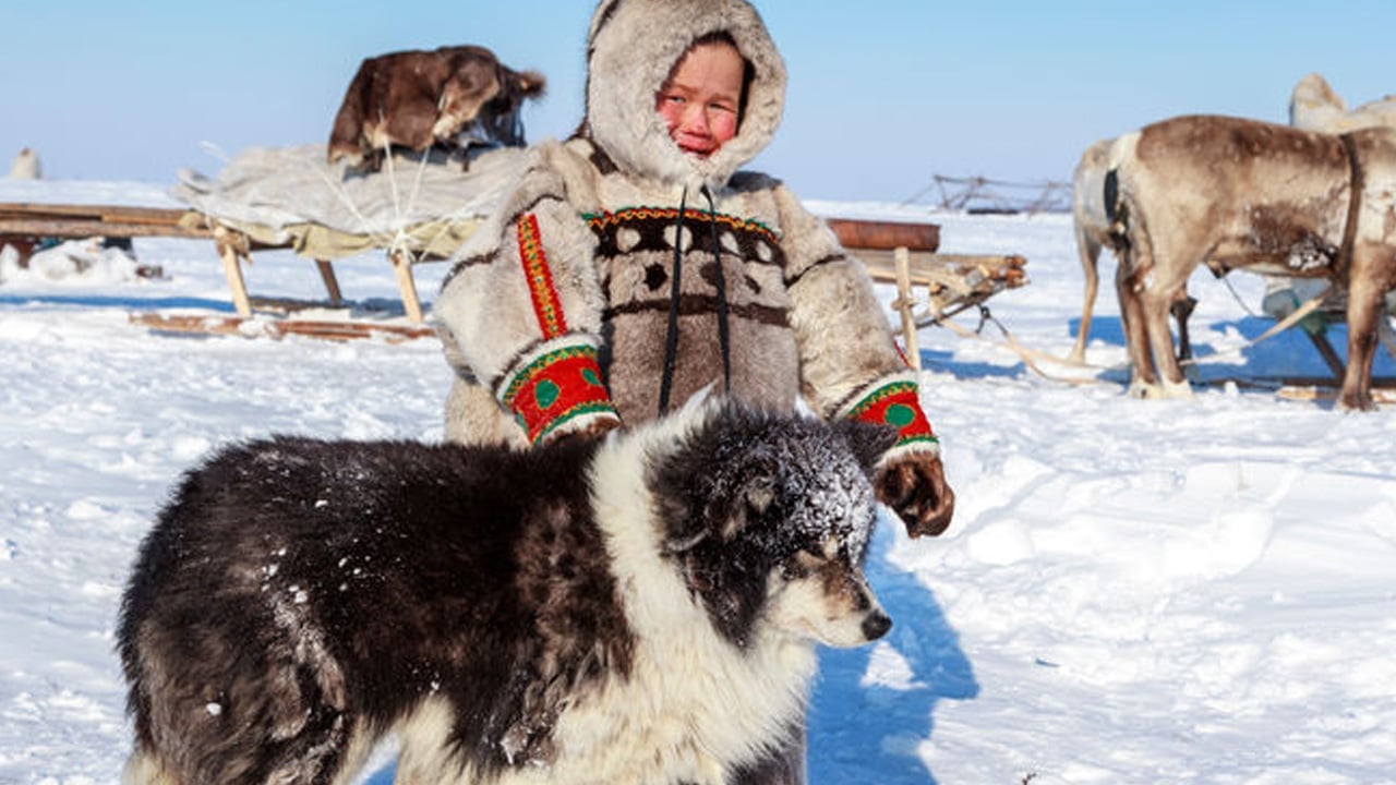 Foto - Onlar bizim can dostumuz! Köpeğin genetik bağı: DNA'sı Anadolu'da masaya yatırıldı! İngiltere ilan etti