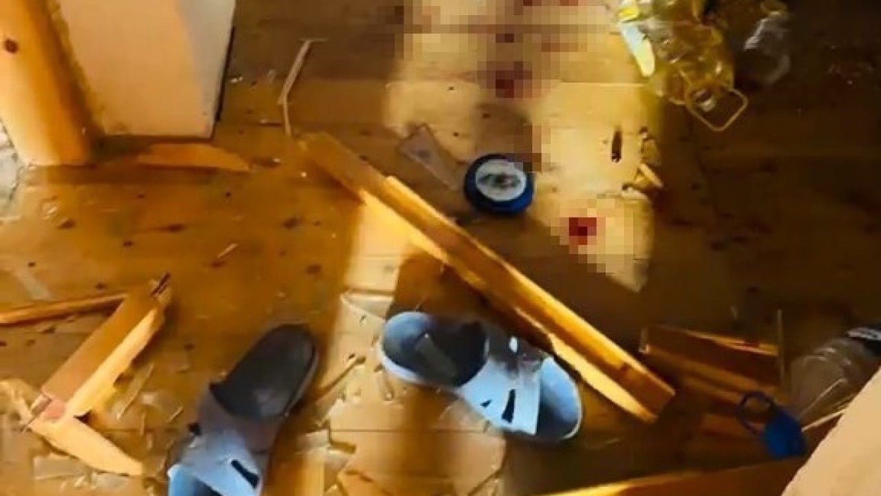 Foto - Onlar da ormanı terk edip şehire indi