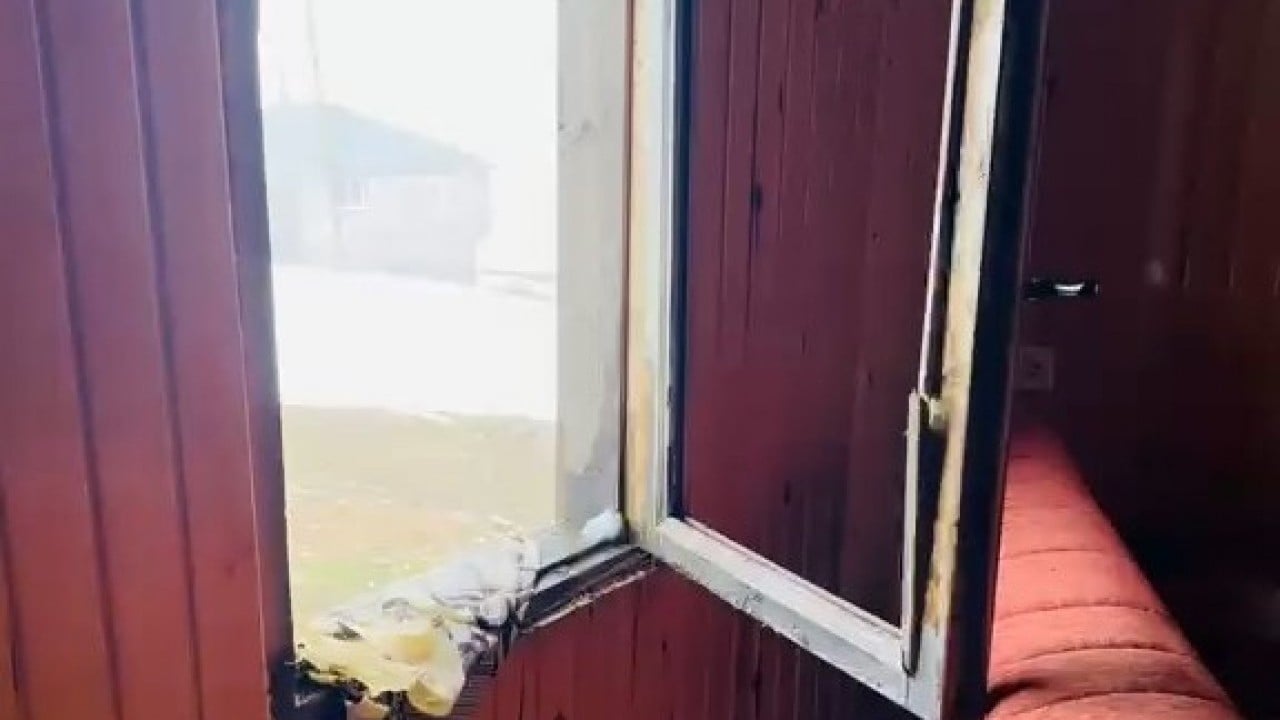 Foto - Onlar da ormanı terk edip şehire indi