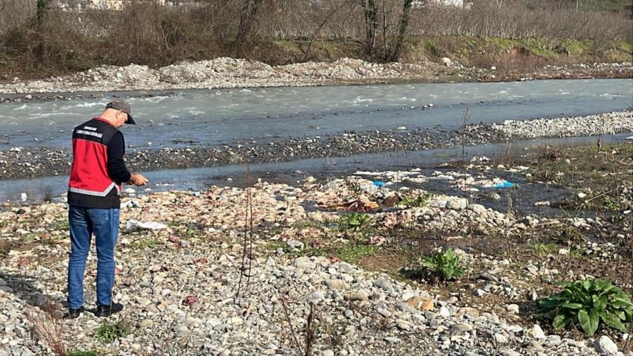 Onlarca tavuk ölüsünü su kenarına atan aranıyor