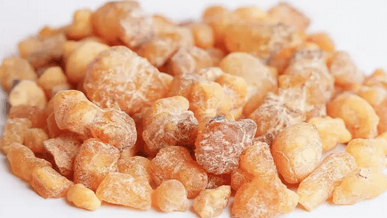 Foto - Onun ismi artık tüm aktarlarda geçti! Grip ve geçmeyen öksürüğe akgünlük sakızı tavsiyesi