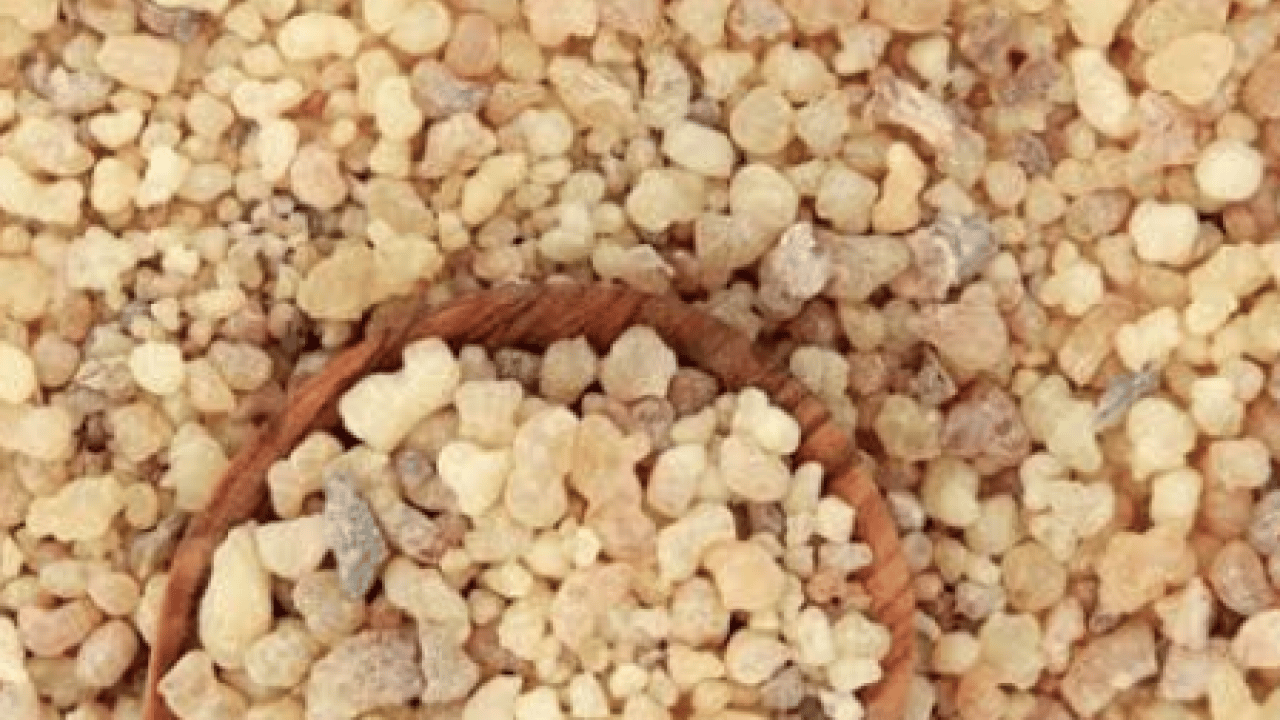 Onun ismi artık tüm aktarlarda geçti! Grip ve geçmeyen öksürüğe akgünlük sakızı tavsiyesi