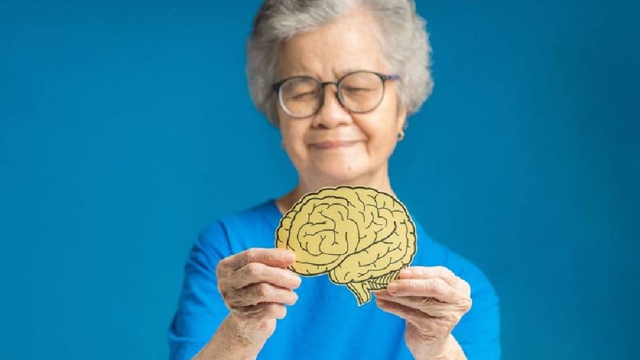 Foto - Ordu ve Samsun'da her derde şifa! Alzheimer’a karşı kalkan lahana sadece 8 lira: 100 yıllık miras tarlalarda