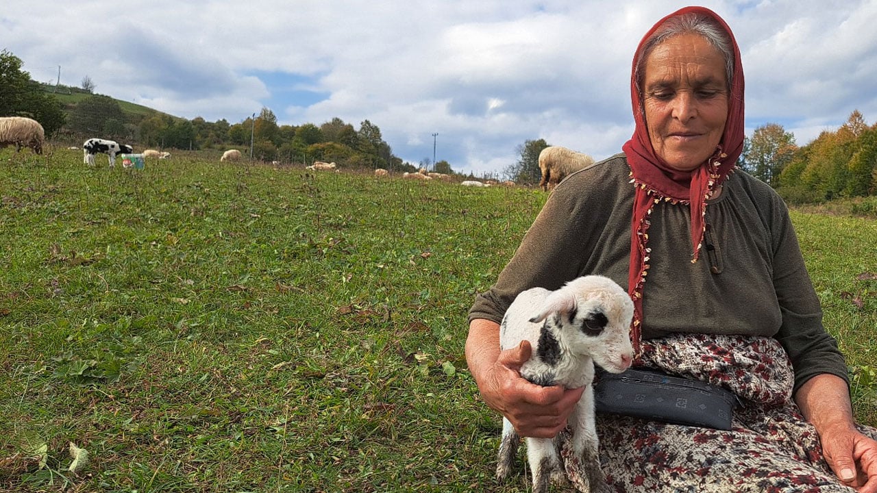 Ordu’nun güçlü kadını! Eşini kaybetti, dağlarda hayata tutundu
