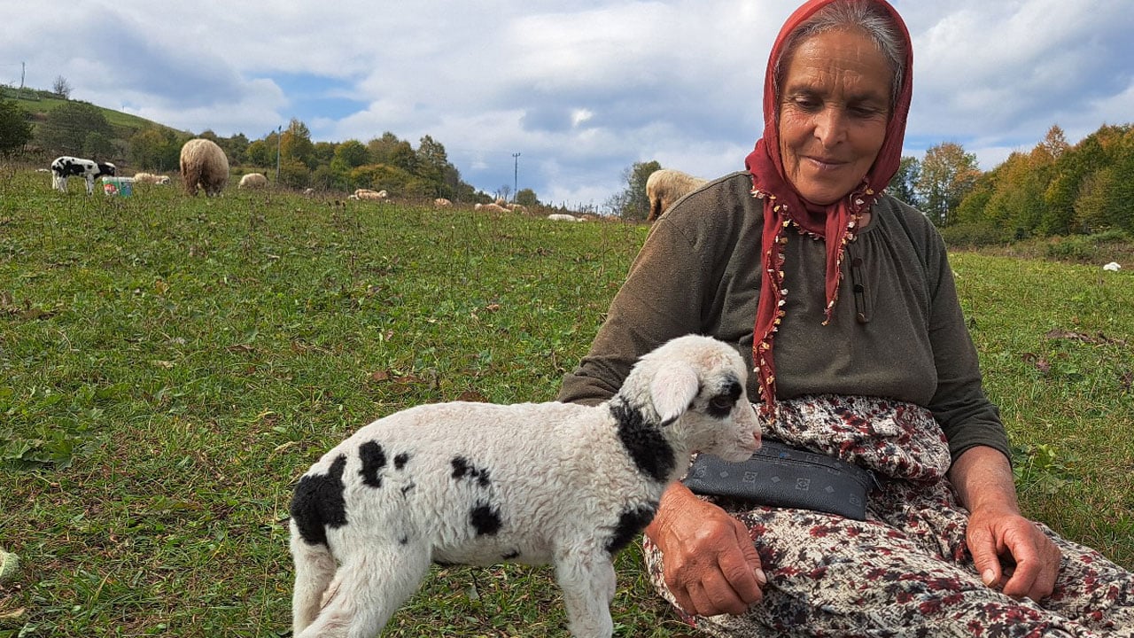 Foto - Ordu’nun güçlü kadını! Eşini kaybetti, dağlarda hayata tutundu
