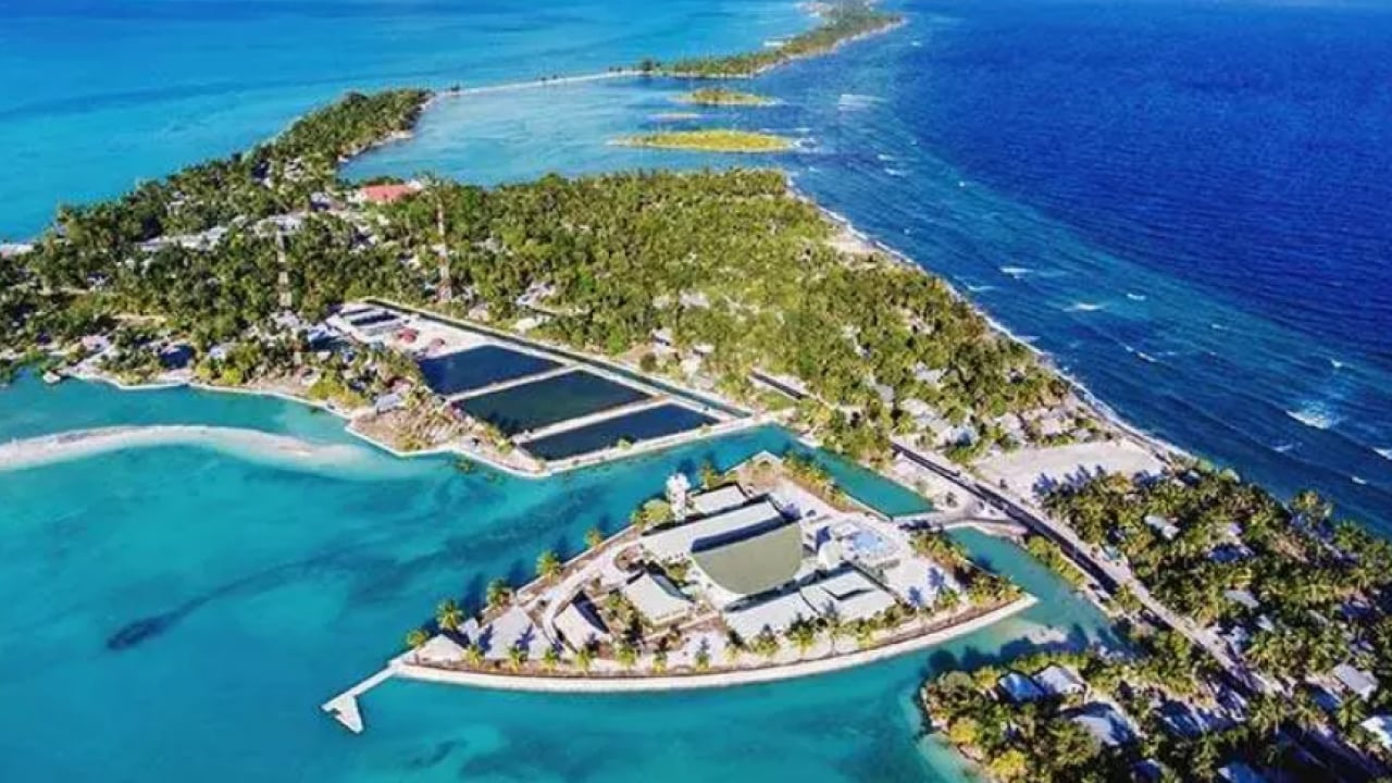 Foto - Güvenliği kızaklı köpekler sağlıyor: İşte ordusu olmayan ülkeler!