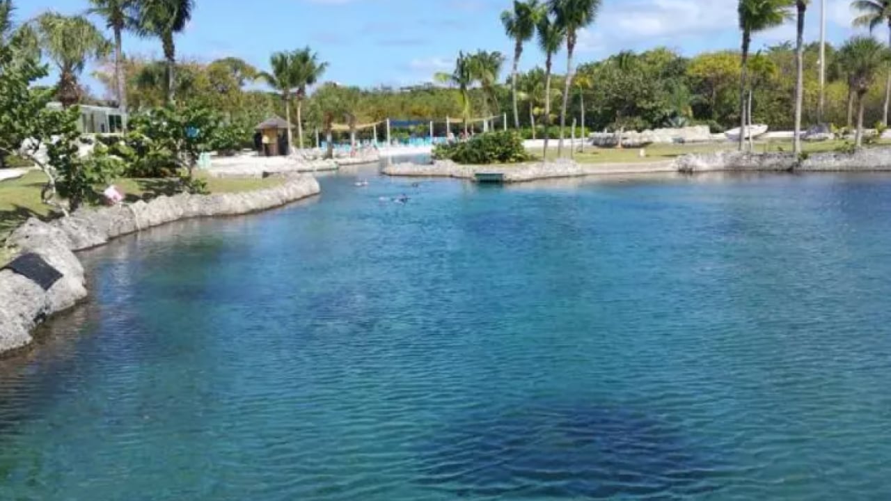 Foto - Güvenliği kızaklı köpekler sağlıyor: İşte ordusu olmayan ülkeler!