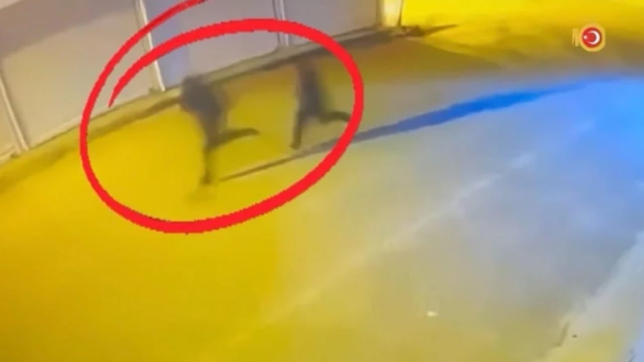 Foto - Organize suç çetesine büyük darbe: 15 şüpheli tutuklandı