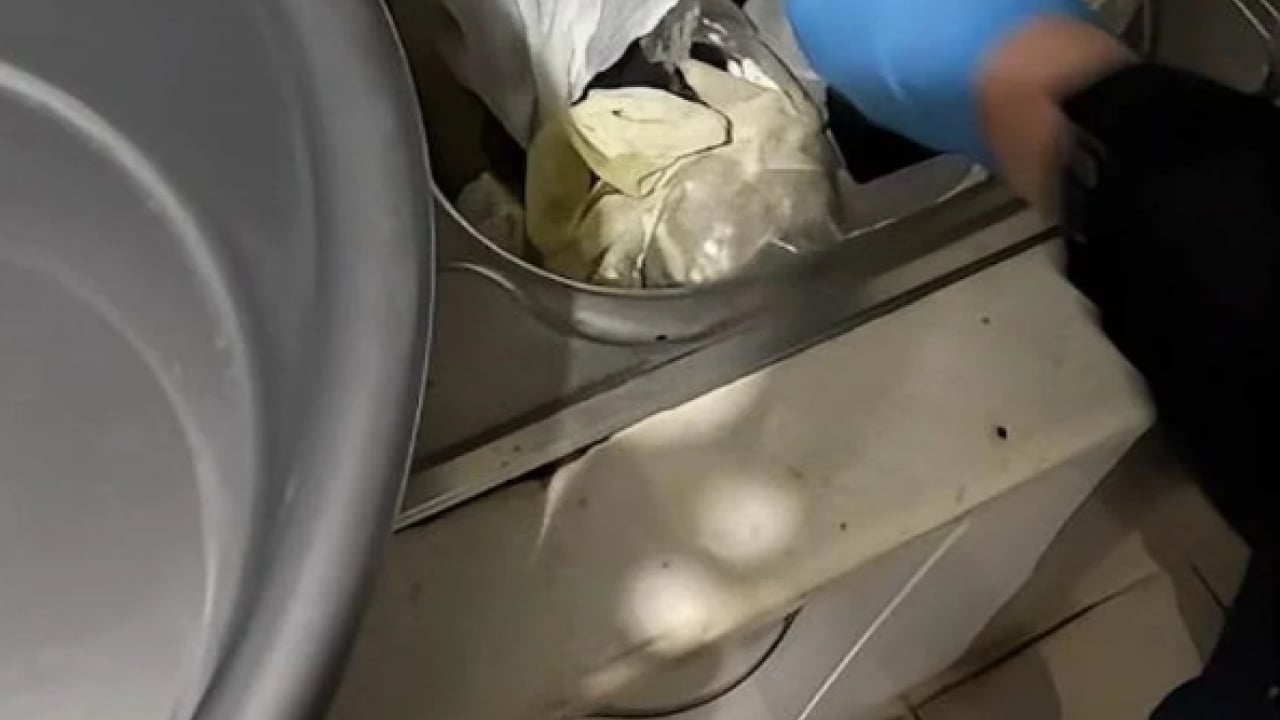 Foto - Organize suç çetesine büyük darbe: 15 şüpheli tutuklandı