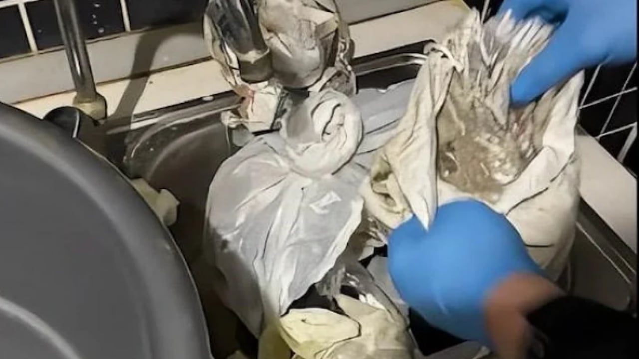 Foto - Organize suç çetesine büyük darbe: 15 şüpheli tutuklandı