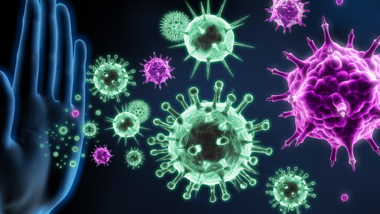 Foto - Orman havasının 5 faydası! Uzmanlar peş peşe paylaştı: Sağlık için büyük destek