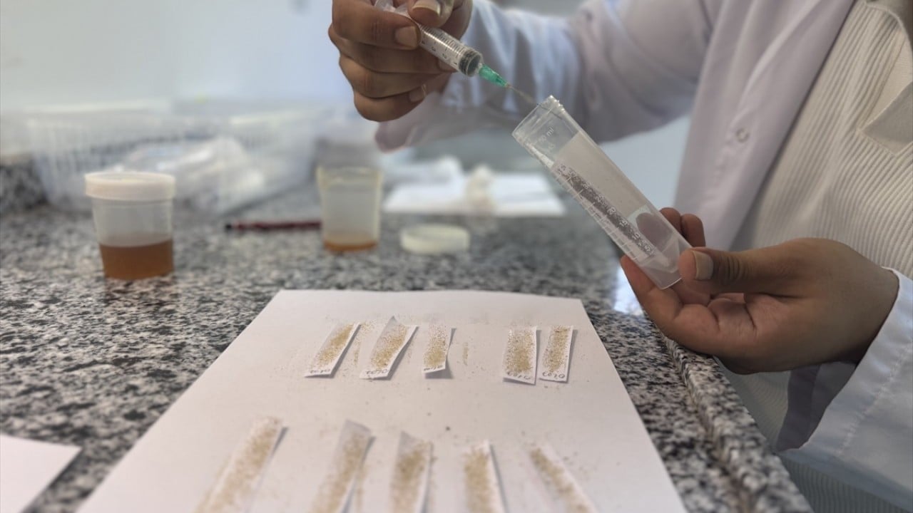 Foto - Orman zararlılarını yok ediyor Laboratuvar böcekleri iş başında