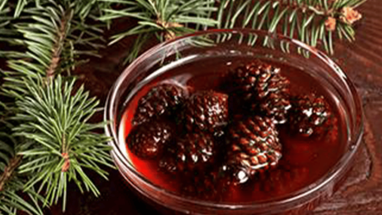 Foto - Ormandan çıkıyor kazana giriyor: Her derde deva oluyor.