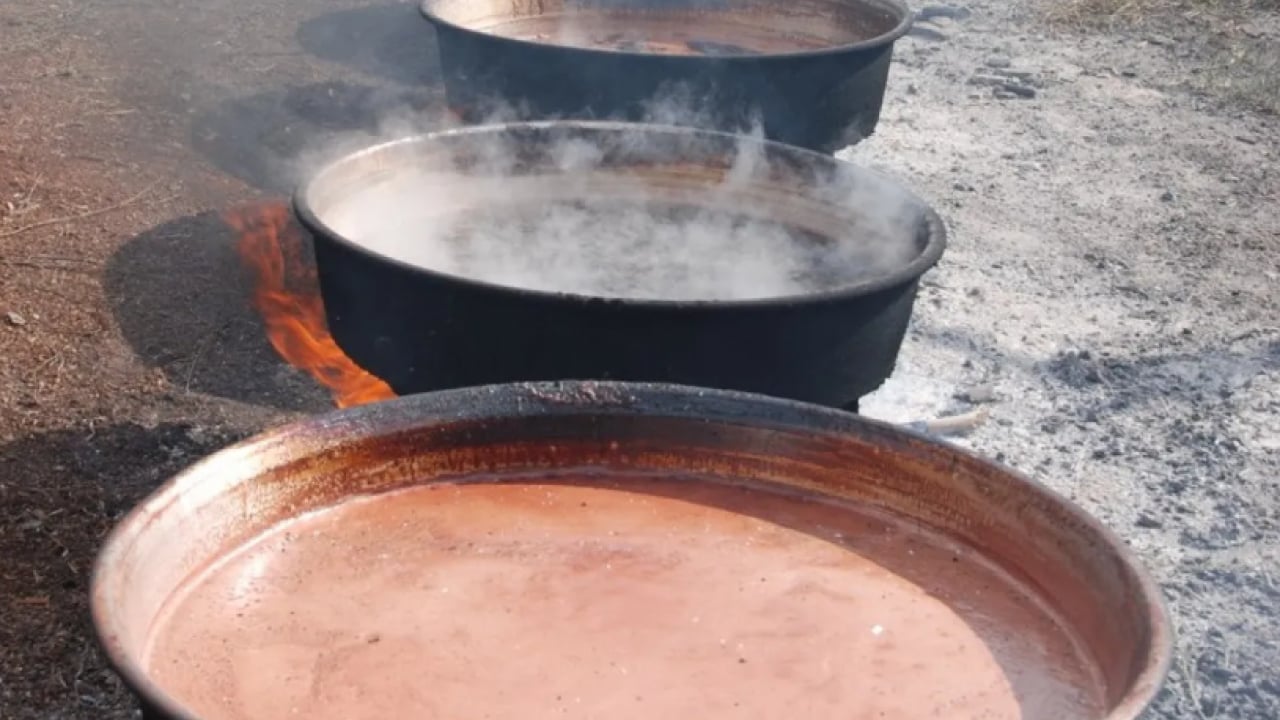 Foto - Ormandan çıkıyor kazana giriyor: Her derde deva oluyor.