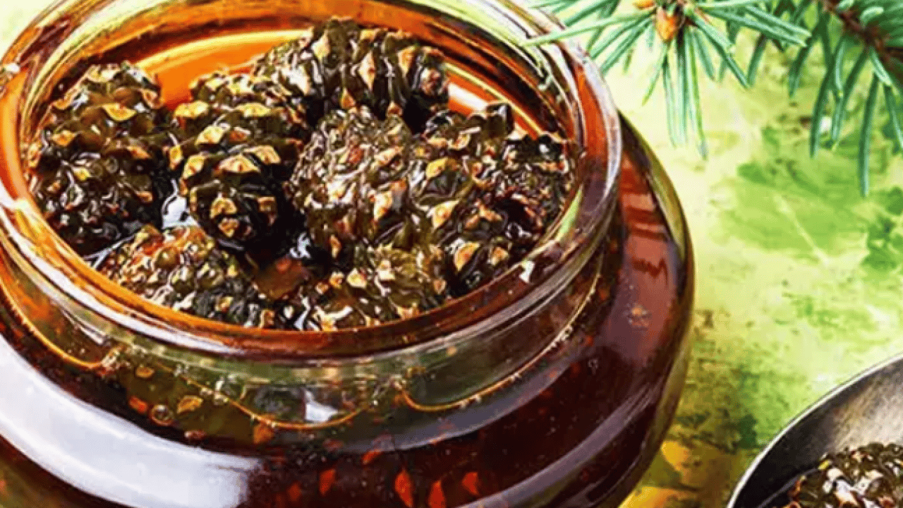 Foto - Ormandan çıkıyor kazana giriyor: Her derde deva oluyor.