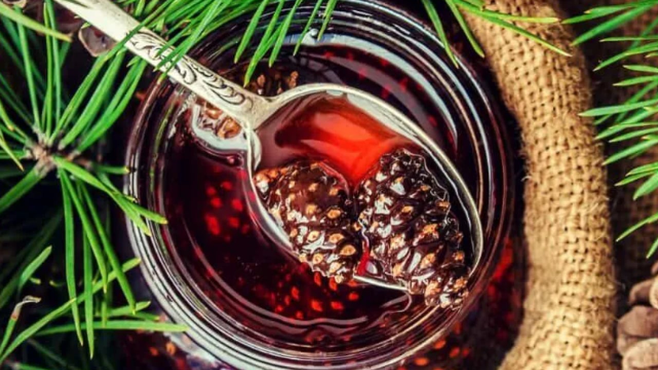 Foto - Ormandan çıkıyor kazana giriyor: Her derde deva oluyor.