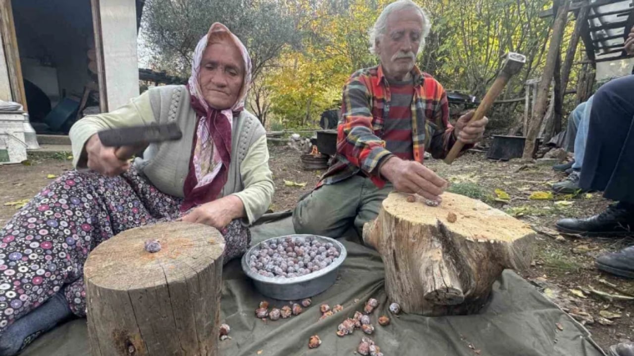 Foto - Ormandan çıkıyor kazana giriyor: Her derde deva oluyor.