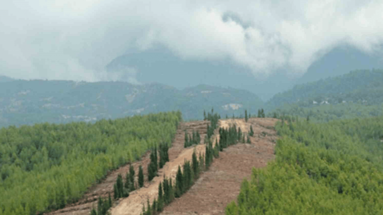 Ormanlarda yangınlara karşı ‘çelik zırh’ dönemi: Riskler sıfıra indirilecek