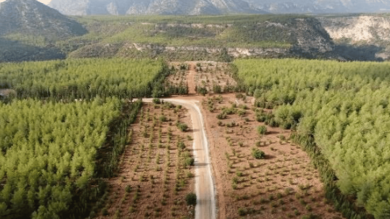 Foto - Ormanlarda yangınlara karşı ‘çelik zırh’ dönemi: Riskler sıfıra indirilecek