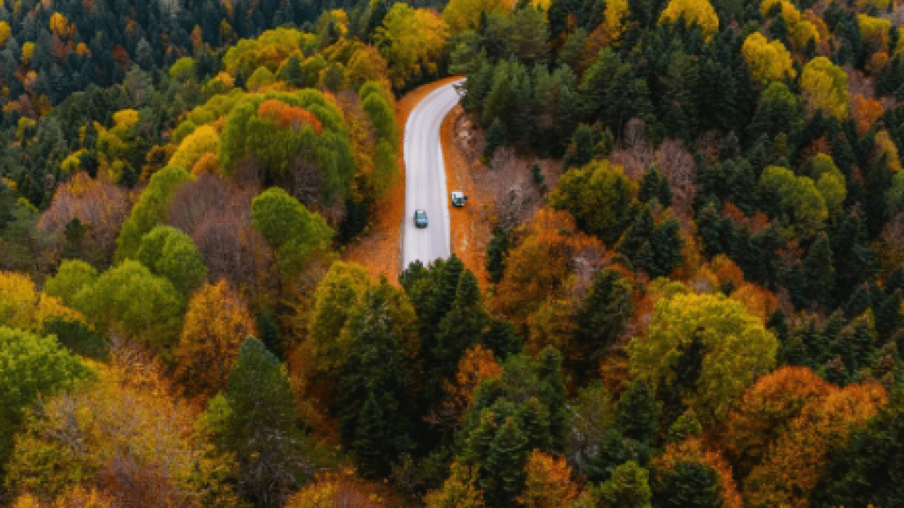 Foto - Ormanlarda yangınlara karşı ‘çelik zırh’ dönemi: Riskler sıfıra indirilecek