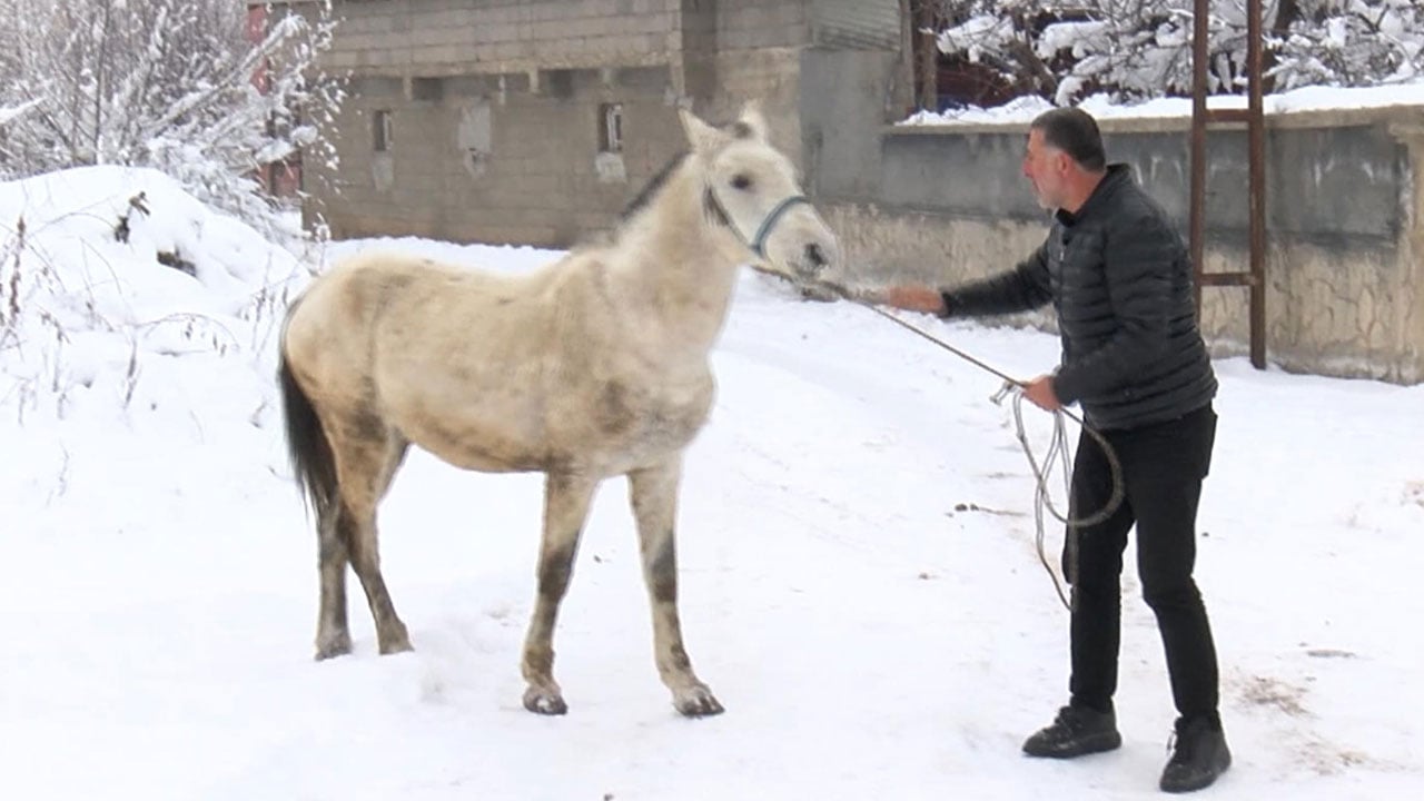 Örnek davranış! Kış gelince unutulan canlara sahip çıktı