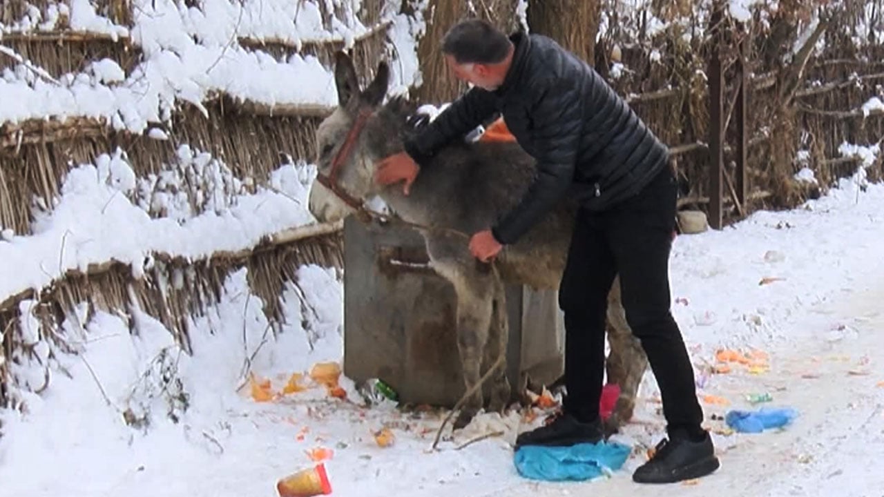 Foto - Örnek davranış! Kış gelince unutulan canlara sahip çıktı