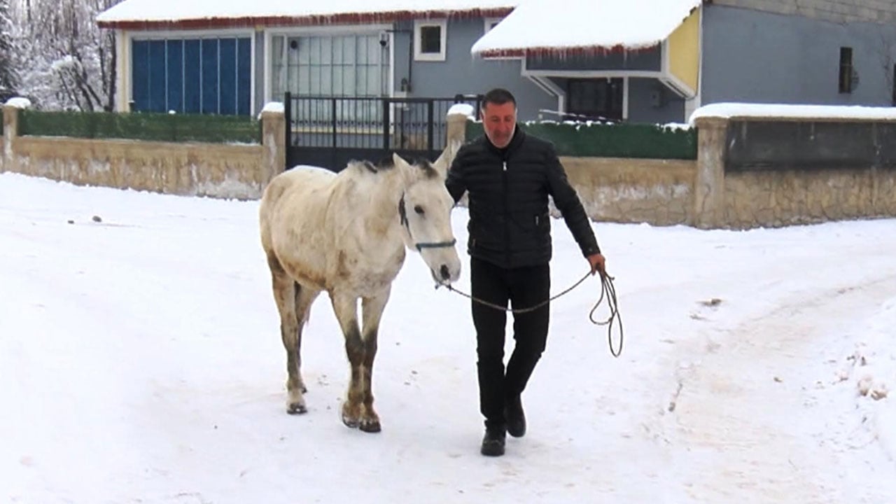 Foto - Örnek davranış! Kış gelince unutulan canlara sahip çıktı