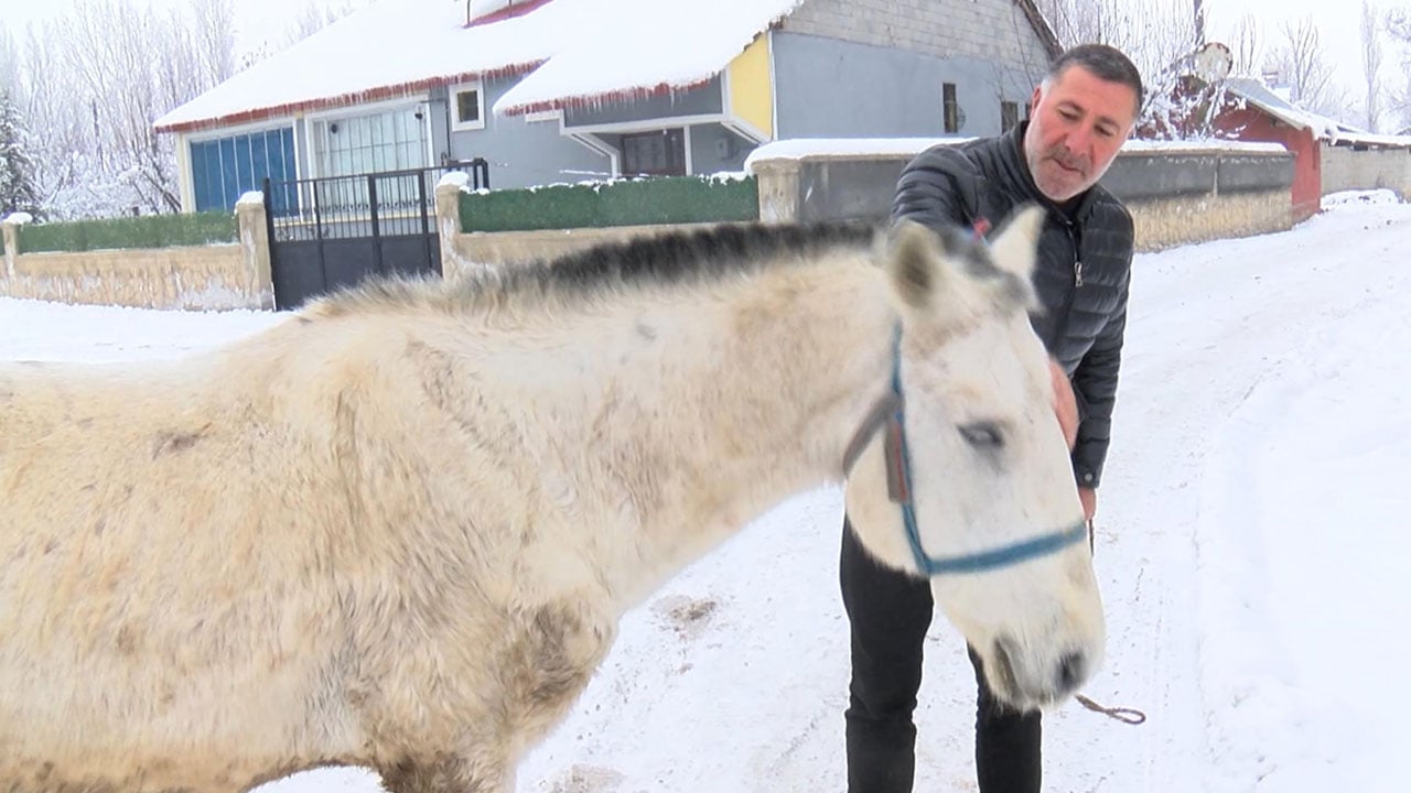 Foto - Örnek davranış! Kış gelince unutulan canlara sahip çıktı