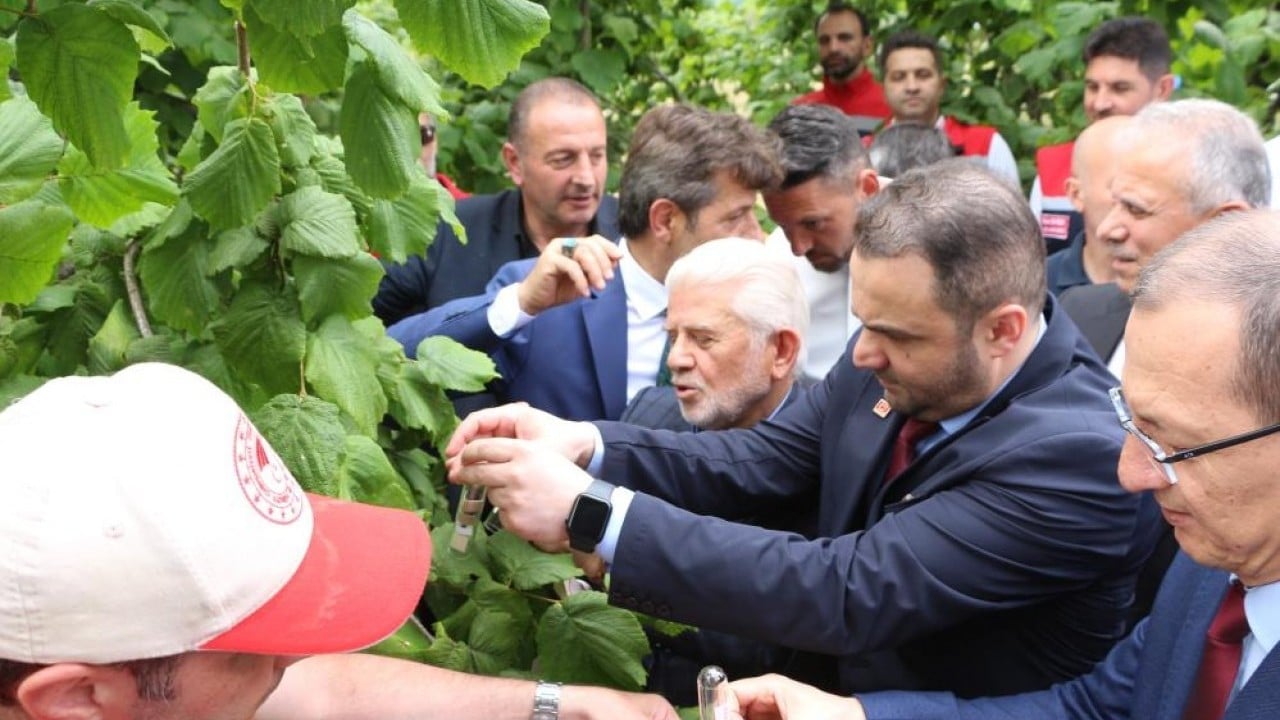 Foto - Ortalığı kokarca sardı! Doğal ordu göreve başladı