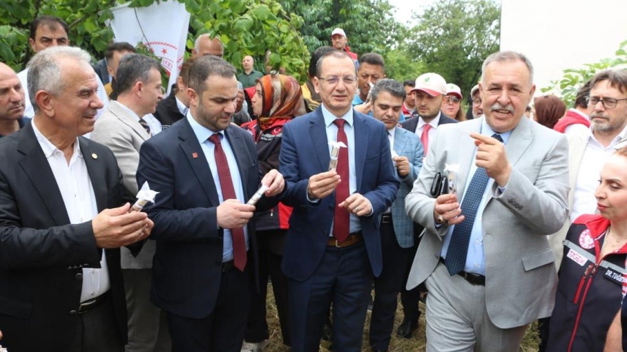 Foto - Ortalığı kokarca sardı! Doğal ordu göreve başladı
