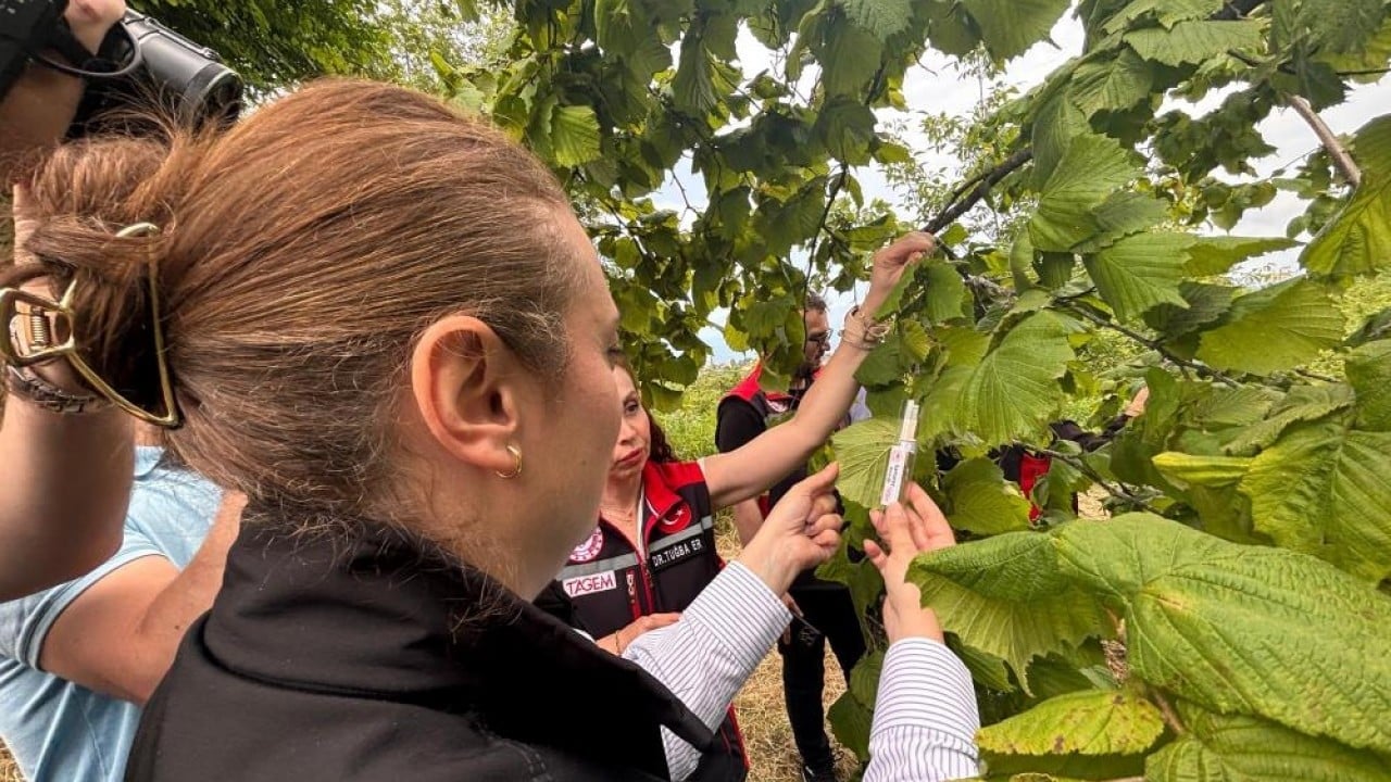 Foto - Ortalığı kokarca sardı! Doğal ordu göreve başladı