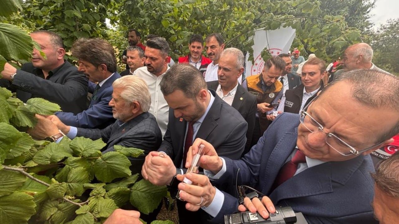 Foto - Ortalığı kokarca sardı! Doğal ordu göreve başladı