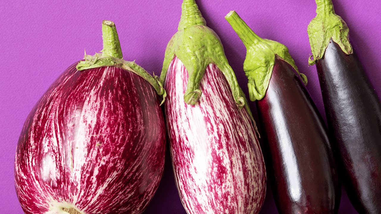 Foto - Osman Müftüoğlu Alzaymır için bol bol tüketin diyerek önerdi! Beyni morartmak çok iyi bir şeydir diye peş peşe açıkladı