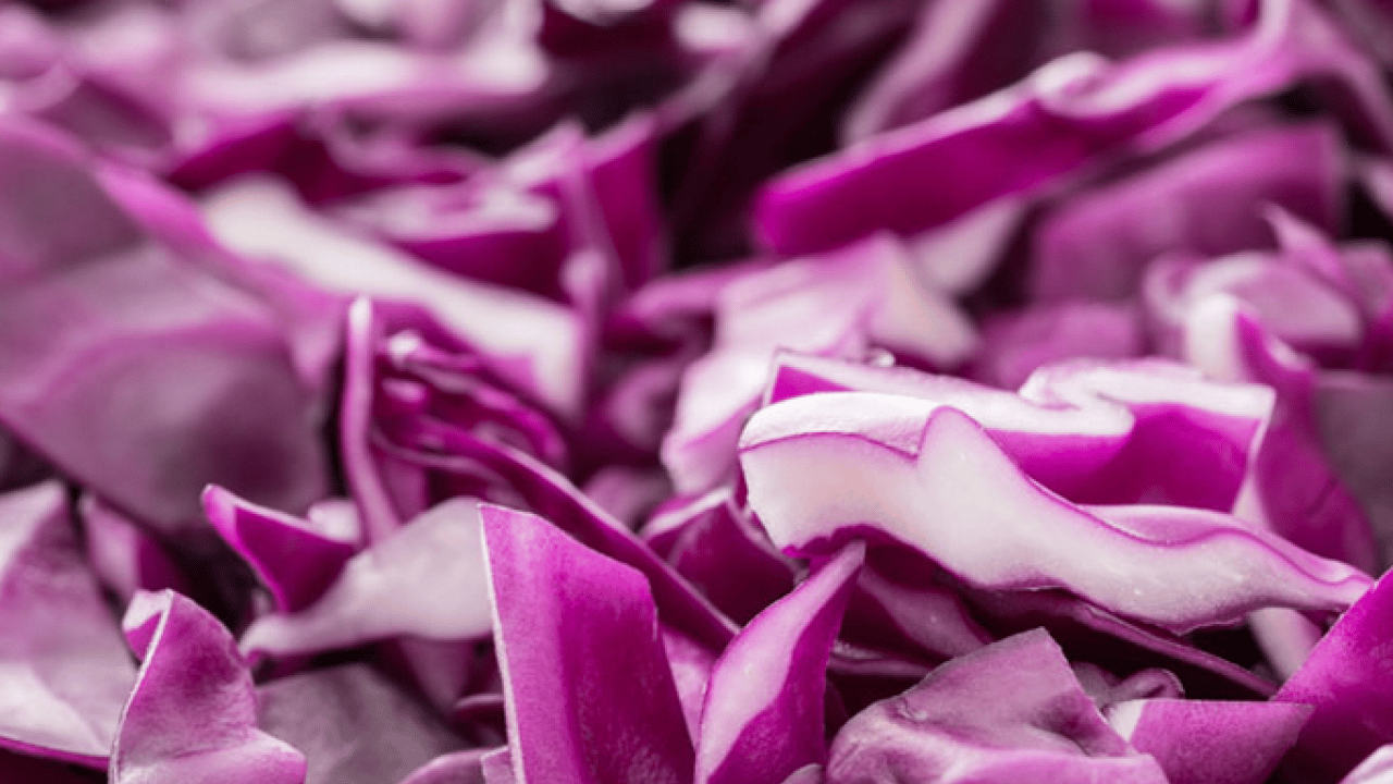 Foto - Osman Müftüoğlu Alzaymır için bol bol tüketin diyerek önerdi! Beyni morartmak çok iyi bir şeydir diye peş peşe açıkladı