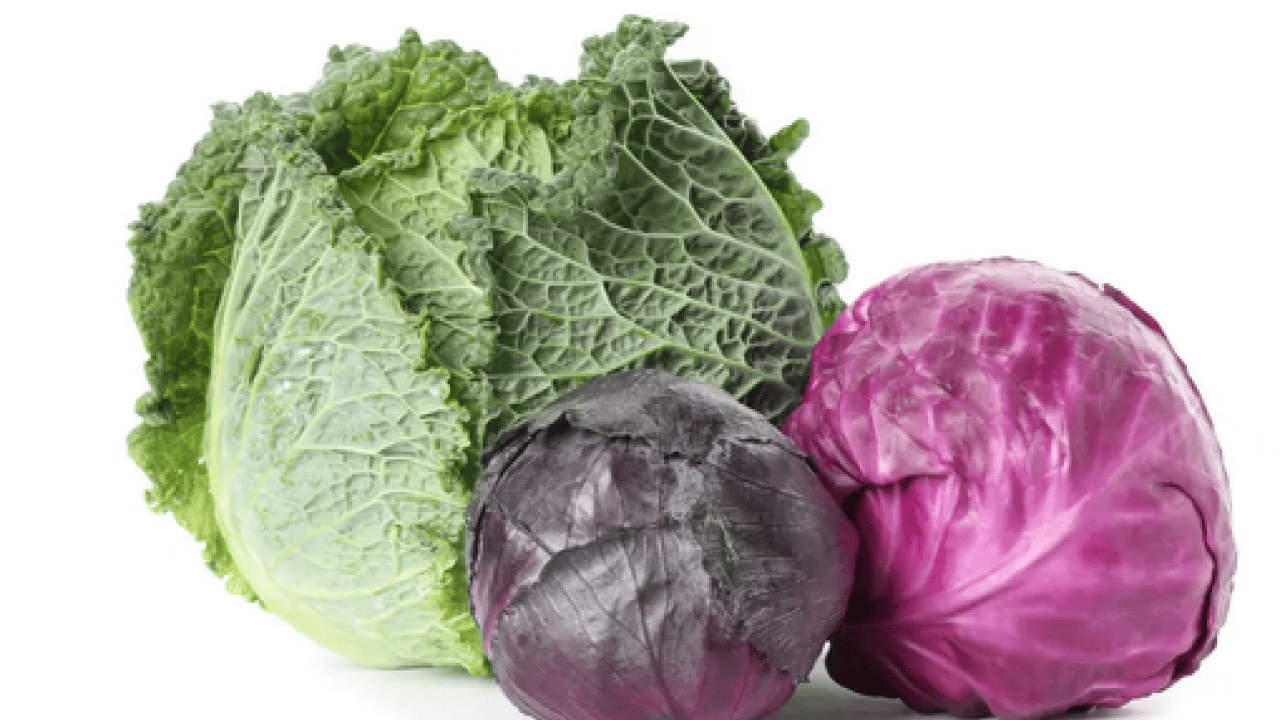 Foto - Osman Müftüoğlu Alzaymır için bol bol tüketin diyerek önerdi! Beyni morartmak çok iyi bir şeydir diye peş peşe açıkladı