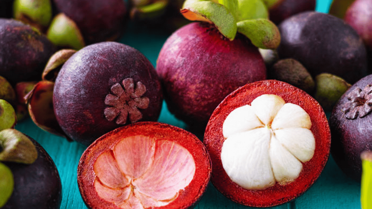 Foto - Osman Müftüoğlu Alzaymır için bol bol tüketin diyerek önerdi! Beyni morartmak çok iyi bir şeydir diye peş peşe açıkladı