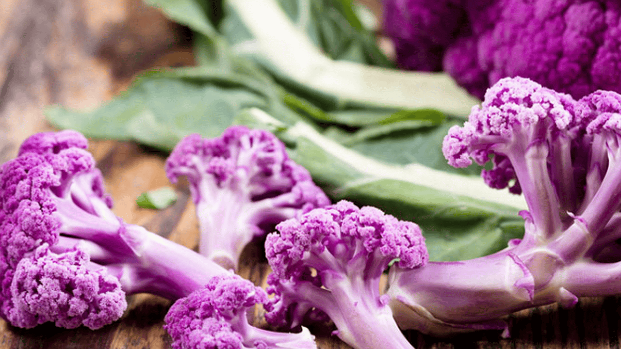 Foto - Osman Müftüoğlu Alzaymır için bol bol tüketin diyerek önerdi! Beyni morartmak çok iyi bir şeydir diye peş peşe açıkladı
