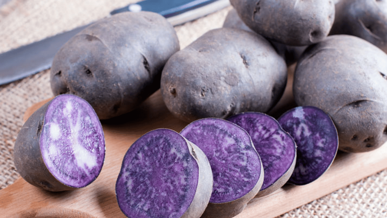 Foto - Osman Müftüoğlu Alzaymır için bol bol tüketin diyerek önerdi! Beyni morartmak çok iyi bir şeydir diye peş peşe açıkladı