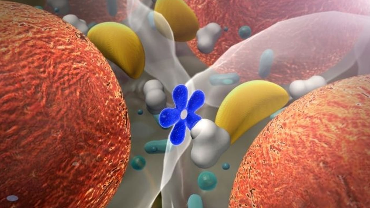 Foto - Osman Müftüoğlu yazdı: Kilosuyla, dış görünüşü ile sorunu olanlar! O 6 tavsiye bakın ne oluyor! Diyet yerine de tavsiye etti