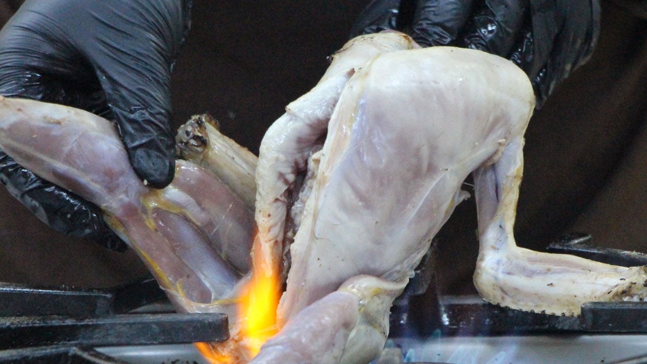 Foto - Osmanlı mutfağının yıldızıydı! Unutulan saray lezzeti için düğmeye basıldı