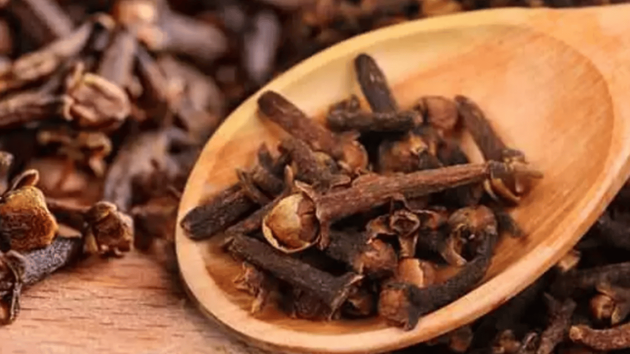 Foto - Osmanlı'nın en gözde baharatlı ilacı: Grip ve soğuk algınlığı ile savaşıyor!
