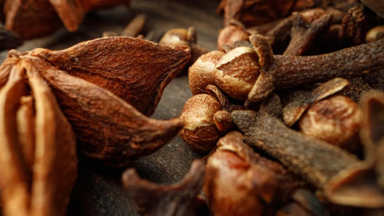 Foto - Osmanlı'nın en gözde baharatlı ilacı: Grip ve soğuk algınlığı ile savaşıyor!