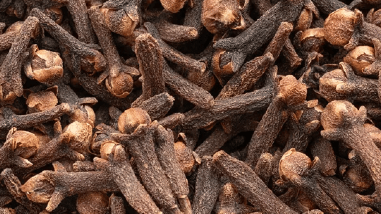 Foto - Osmanlı'nın en gözde baharatlı ilacı: Grip ve soğuk algınlığı ile savaşıyor!