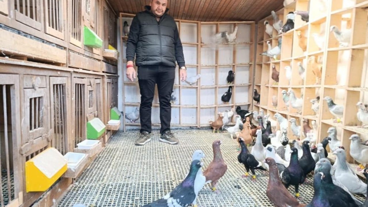 Foto - Otomobil fiyatına güvercin