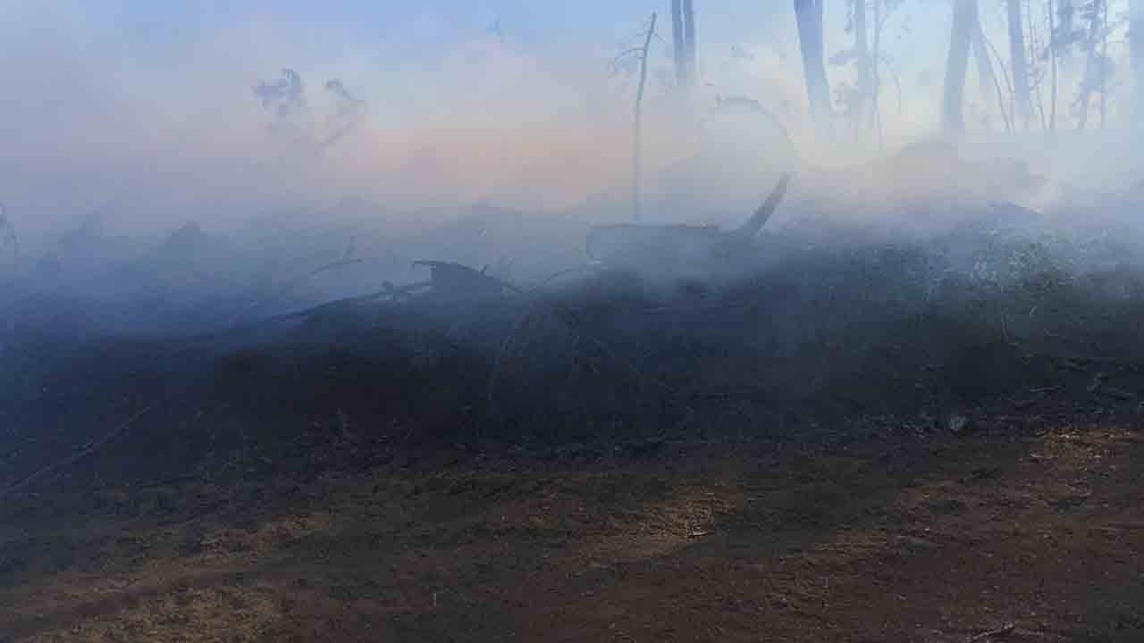 Foto - Otomobilde başlayan yangın ormana sıçradı: Korkutan alevlere hızlı müdahale