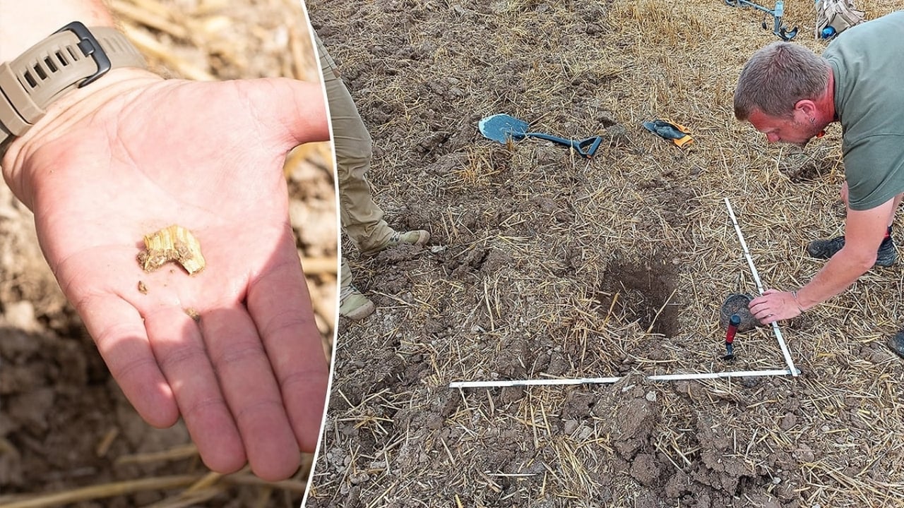 Foto - Otoyol inşaatında kazdıkça servet fışkırdı! Tarlanın altından tam 13 bin torba altın çıktı