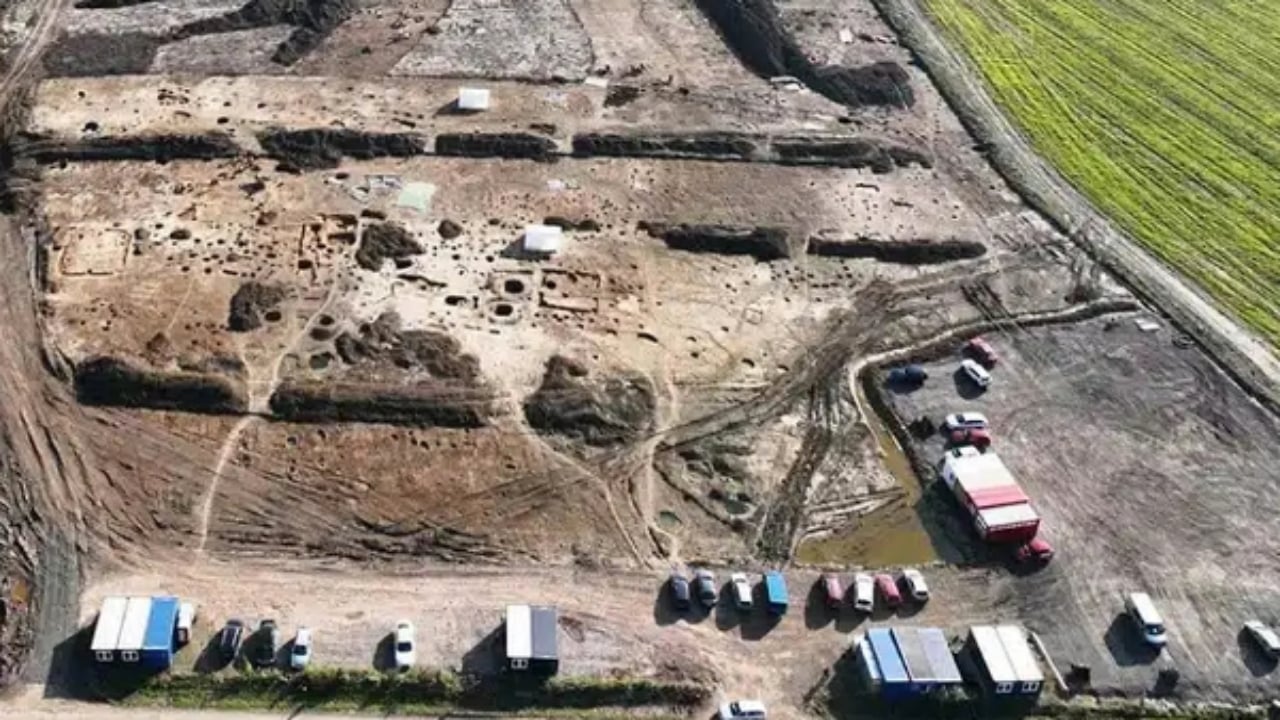 Otoyol inşaatında kazdıkça servet fışkırdı! Tarlanın altından tam 13 bin torba altın çıktı