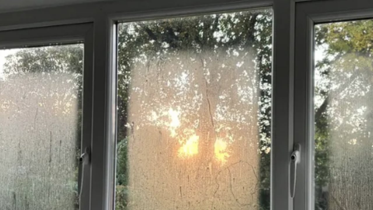 Foto - Öyle bir hamle yapın ki... Eski evlerde bile rutubeti bitiren...